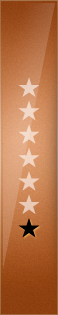 Bronze Star